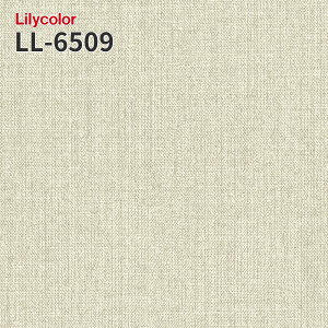 LL-6509 �̂�Ȃ��ǎ� LIGHT �����J�� ���� ��C