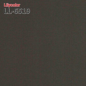 LL-6519 �̂�Ȃ��ǎ� LIGHT �����J�� ���� ��C