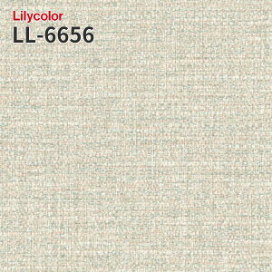 LL-6656 X[p[ h~ ̂Ȃǎ LIGHT J  C