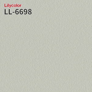 LL-6698 L h~ ̂Ȃǎ LIGHT J  C