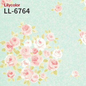 LL-6764 L h~ ̂Ȃǎ LIGHT J  C