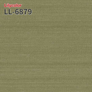LL-6879 ���L �̂�Ȃ��ǎ� LIGHT �����J�� ���� ��C