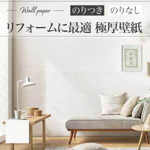 XR-645 ǎ Ζڒ dグ 炦 zCgn n  diy  tH[ \ rO J XRNX ̂Ȃ