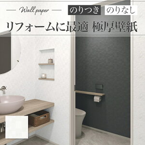 XR-655 ǎ Ζڒ zCgn n _  diy  tH[ \ rO J XRNX ̂Ȃ