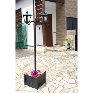 lpv^[tX 2TAN-793-2  rOAEg J