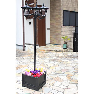 lpv^[tX 3TAN-793-3  rOAEg J