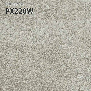 PX220W 180cm�� 2mm�� �h���V�[�g ���O �T���Q�c