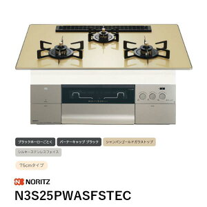N3S25PWASFSTEC �r���g�C���R���� S�EFLAT�e���A�N�A�R�[�g �v���O�� �m�[���c ��������