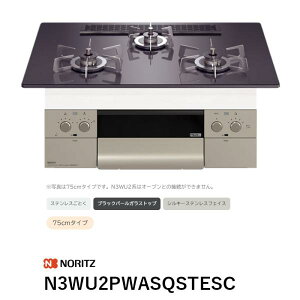 N3WU2PWASQSTESC �r���g�C���R���� S�EFLAT �I���V�F �m�[���c ��������