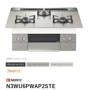 N3WU6PWAP2STE �r���g�C���R���� �l�X�g �m�[���c ��������