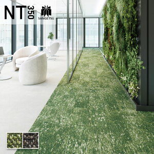 �^�C���J�[�y�b�g �T���Q�c 25×100 ���� NT350�V���[�Y NT-3190 LAWN PLANK