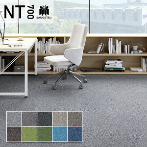 �^�C���J�[�y�b�g �T���Q�c ���� 50×50 NTP-7110 D-eco �~�b�N�X�v���[�� D
