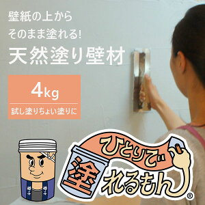 yzh sAzCg ǎ̏ォ炻̂܂ܓh VRhǍ ЂƂœh 4kg {Hʐ2`3ėp