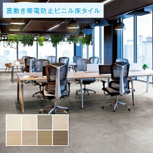 u~^C TQc 5mm tA^C v}I[N 1P[X̔ 12(2.0)