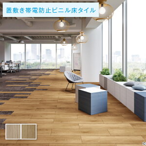 u~^C TQc 5mm tA^C ChI[N 1P[X̔ 10(2.5)