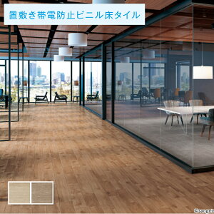 u~^C TQc 5mm tA^C VGI[N 1P[X̔ 12(2.0)