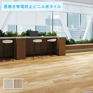 u~^C TQc 4mm tA^C pC 1P[X̔ 14(2.33)