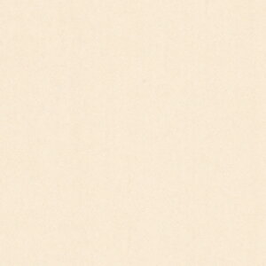 yzACJ JbeBOV[g IeBm }X^[YRNV ؖ 122cm EbhOC VW-421A