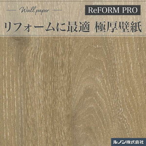 RP5089 ǎ m tH[v tH[ɂߕǎ ̂Ȃǎ ؖڒ V i`