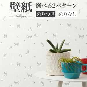 BA7429 JWAǎ L lR LbYXy[X VR[ rbNG[X NX ̂Ȃ 1mPʔ̔