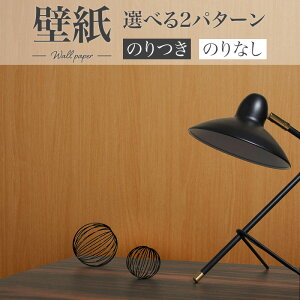 BA7295 ؖڕǎ ~fBAuEEbh VR[ rbNG[X NX ̂Ȃ 1mPʔ̔