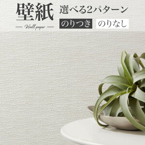 BA7250 ǎ ^C zCg  AC{[ VR[ rbNG[X NX ̂Ȃ 1mPʔ̔