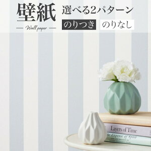 BA7431 JWAǎ XgCv u[ F VR[ rbNG[X NX ̂Ȃ 1mPʔ̔