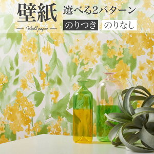 BA7381 ԕǎ CG[ F t[ VR[ rbNG[X NX ̂Ȃ 1mPʔ̔