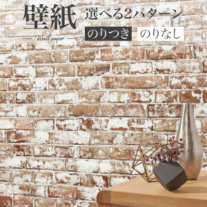 BA7262 ǎ K uE  VR[ rbNG[X NX ̂Ȃ 1mPʔ̔