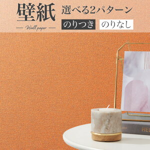 BA7111 Lǎ g IW VR[ rbNG[X NX ̂Ȃ 1mPʔ̔