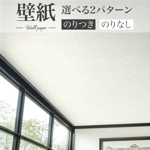 BA7219 Vɂߕǎ GKg AC{[ VR[ rbNG[X NX ̂Ȃ 1mPʔ̔