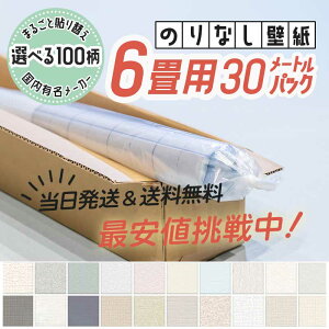 yňlɒ풆z ̂Ȃǎ 30mpbN6p VR[ SLPLUS 2023-2025 D Ζڒ p^[ a sR^Cv