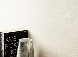 RECXǎ gC q  ǎ\ւ tH[ ̂Ȃ VR[ gECXS STV5901