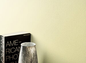 RECXǎ gC q  ǎ\ւ tH[ ̂Ȃ VR[ gECXS STV5905