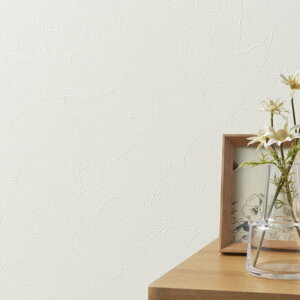 RECXǎ gC q  ǎ\ւ tH[ ̂Ȃ VR[ gECXS STV5908