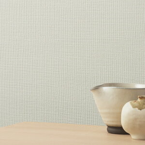 RECXǎ gC q  ǎ\ւ tH[ ̂Ȃ VR[ gECXS STV5929