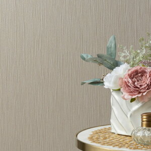 RECXǎ gC q  ǎ\ւ tH[ ̂Ȃ VR[ gECXS STV5950