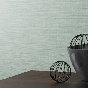 RECXǎ gC q  ǎ\ւ tH[ ̂Ȃ VR[ gECXS STV5953