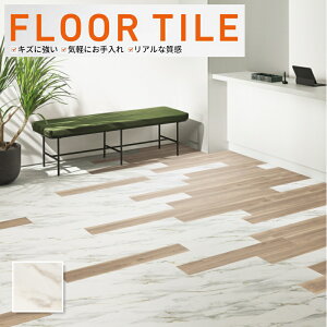 IS-2118 tA^C Xg[ ANZg TQc  gXJ[iS[h P[X̔(24)