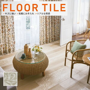 WD-2001 tA^C TQc  XI[N P[X̔(15)