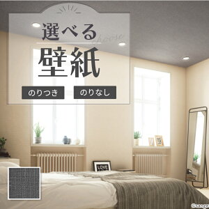 RE55216 ǎ D n ubNn ̂Ȃ NX TQc