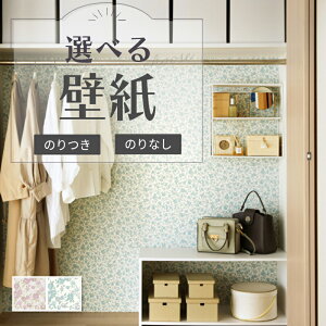 ǎ ԕ sNn u[n u₩ GKg z ̂Ȃ NX TQc