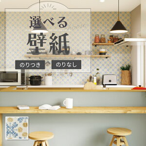 RE55937 ǎ ԕ JWA  tBh~ ̂Ȃ NX TQc