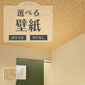RE55717 ǎ a a ԑ㕿 V a ̂Ȃ NX TQc