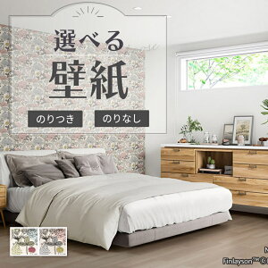 ǎ tBC\ NIITTYPOLKU ԕ A Jt ̂Ȃ NX TQc