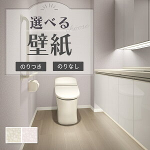 ǎ ԕ Ζڒ z i  ̂Ȃ NX TQc