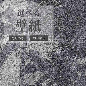 RE55902 ǎ [t n ubNn ̂Ȃ NX TQc