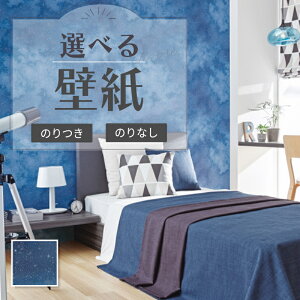 RE55956 ~ǎ  C~l[Vǎ F ̂Ȃ NX TQc