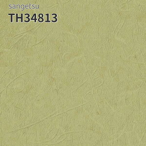 TH34813 ǎ a a a  C DIY tH[ \ rO Lb` TQc tFCX NX