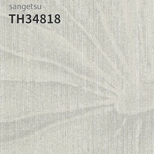 TH34818 ǎ a a a  C DIY tH[ \ rO Lb` TQc tFCX NX